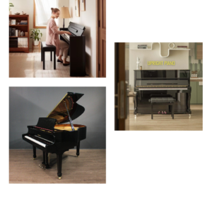 cho thuê đàn piano