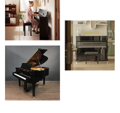 cho thuê đàn piano